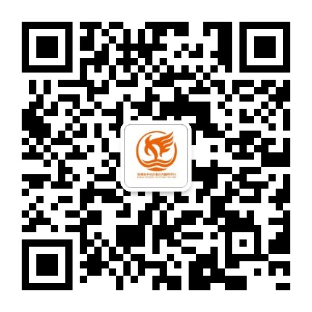 1749433895332883.jpg